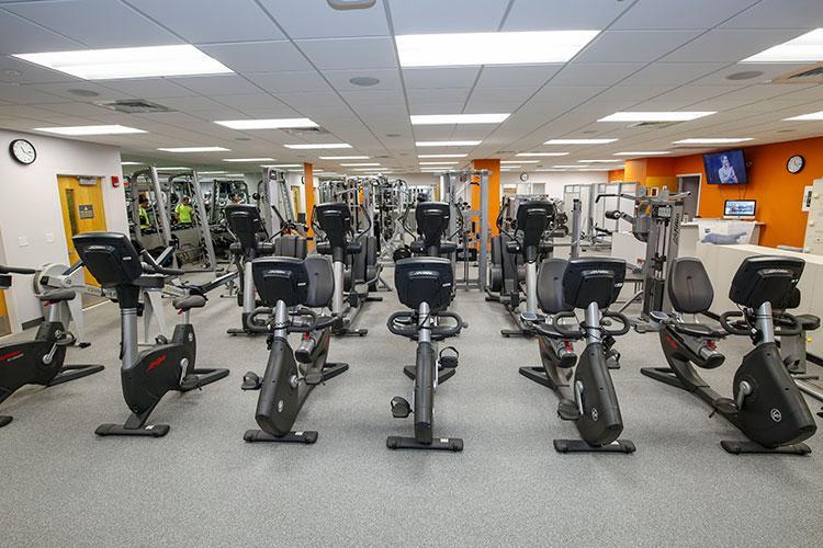 Cardio Area